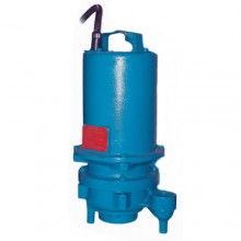 Explosion Proof Pumps